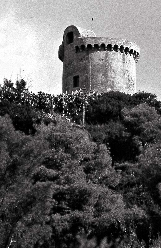 torre--albidona.jpg