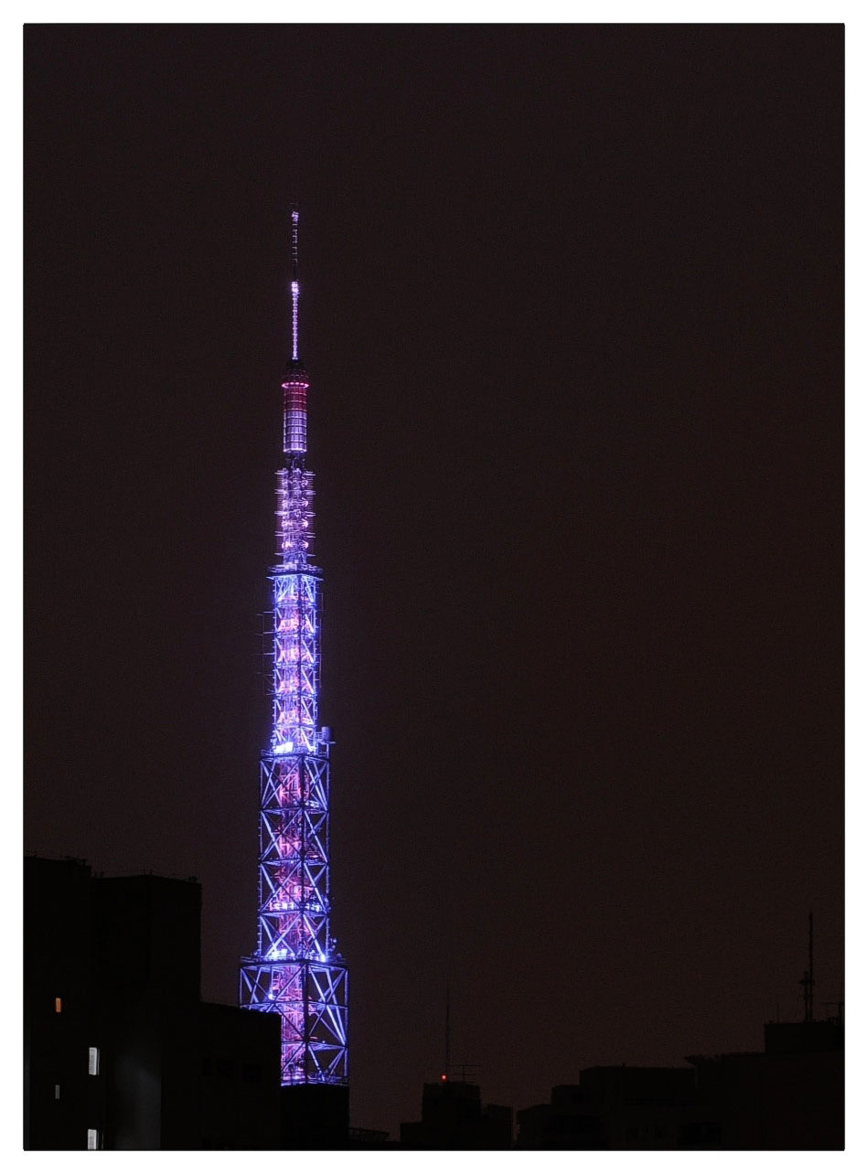 torre1.1.jpg