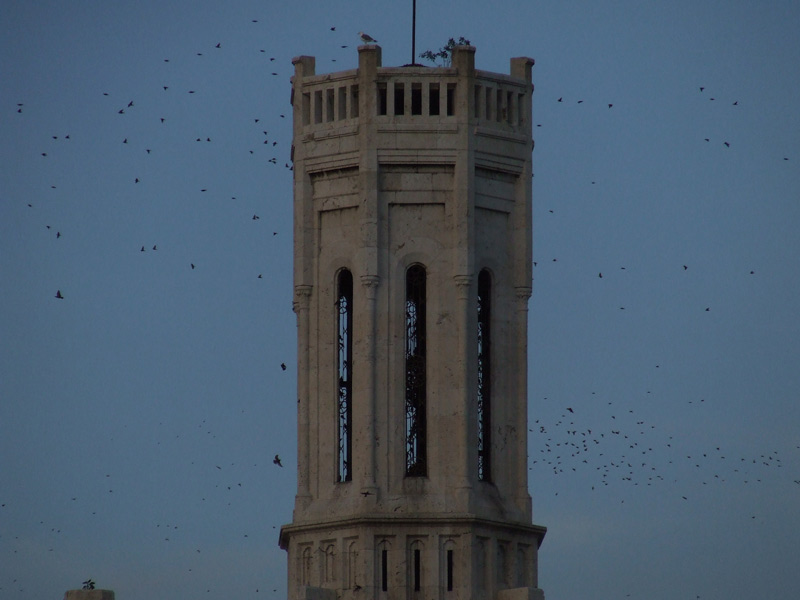 Torre.jpg