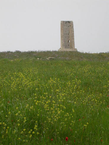 Torre del Serpe.jpg