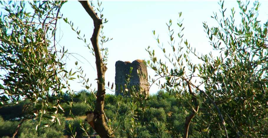 torre_s.jpg