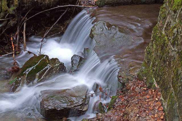 Torrente54 [640x480].jpg