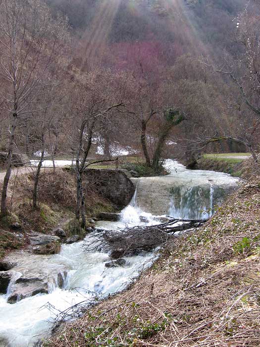 torrente_l.jpg
