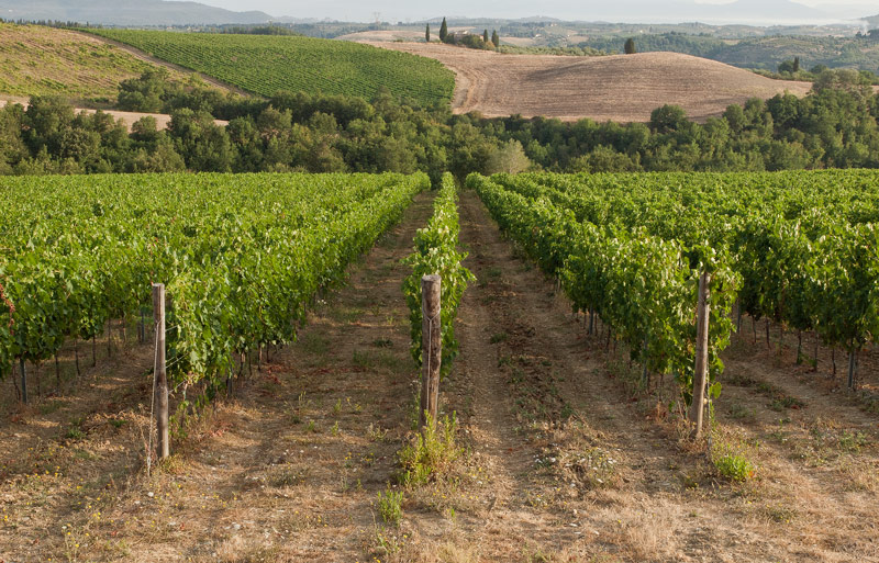 Toscana-allegato.jpg