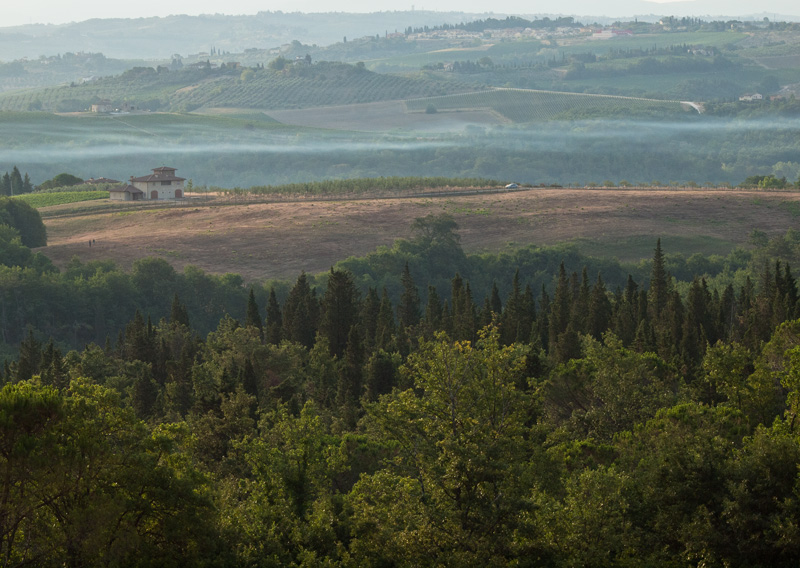 Toscana2cont.jpg