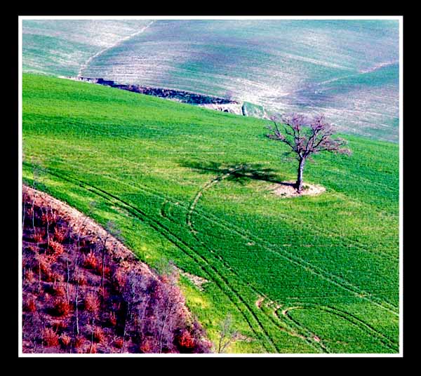 toscana 3 sat.jpg