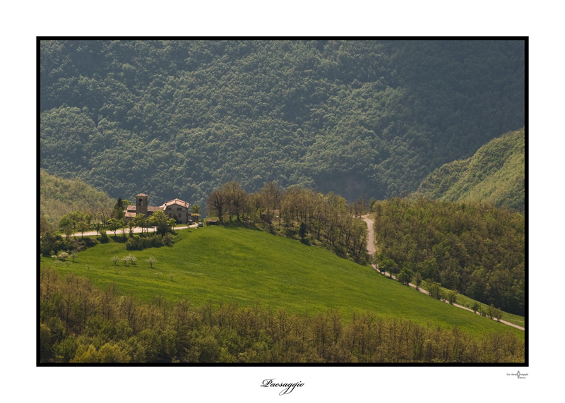 TOSO_20090503_1587_DSC_4315_paesaggio_firma.jpg