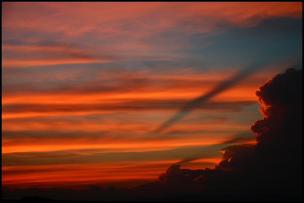 tramontino.jpg