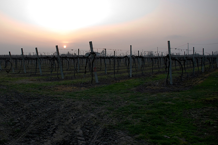tramonto-1.jpg