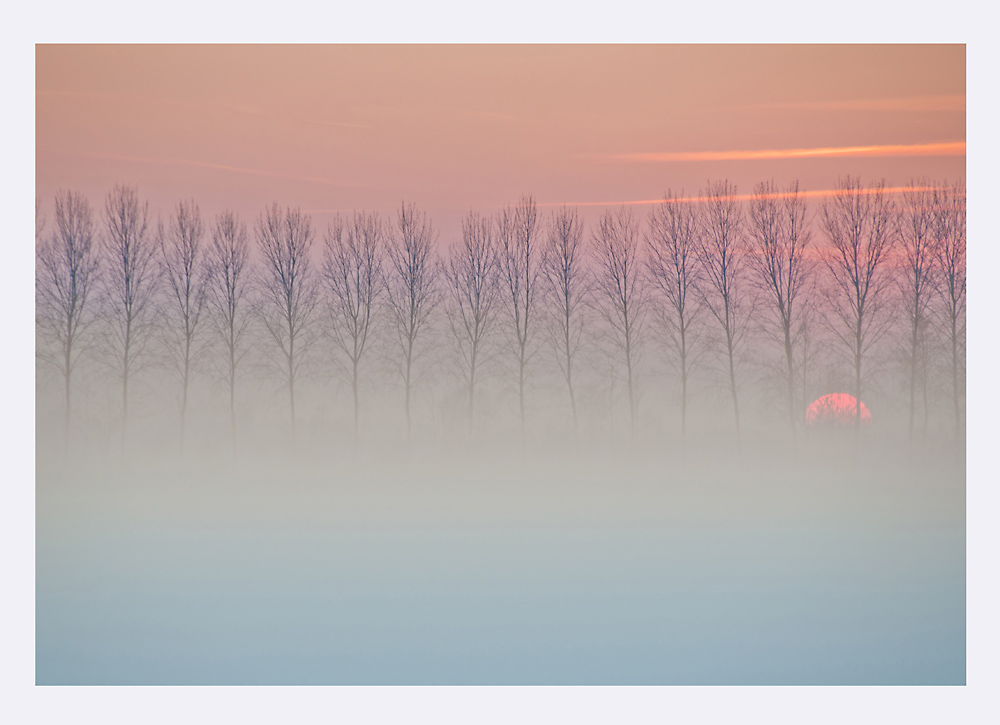 tramonto-panda-2-rid.jpg
