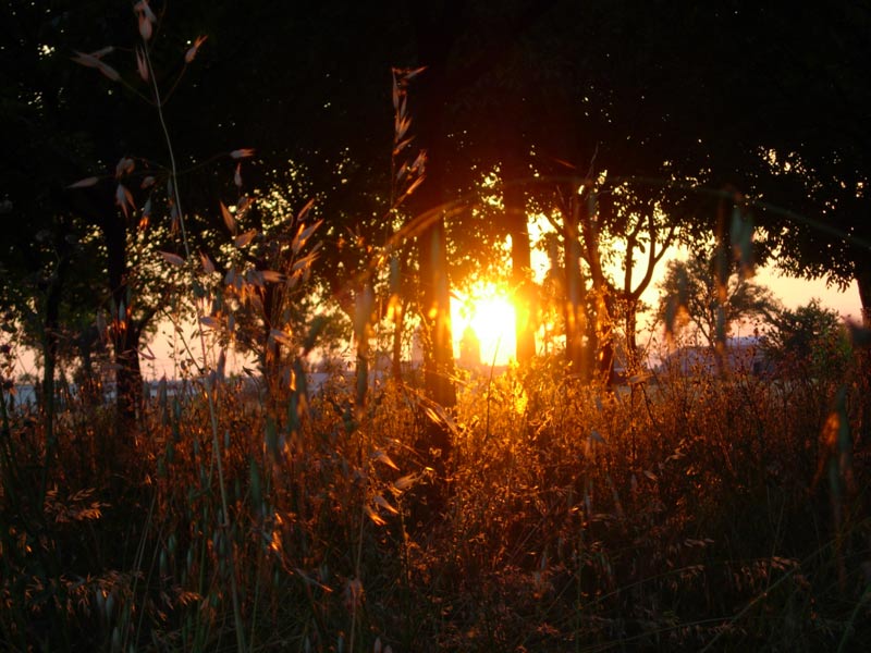 tramonto-umbro-1.jpg