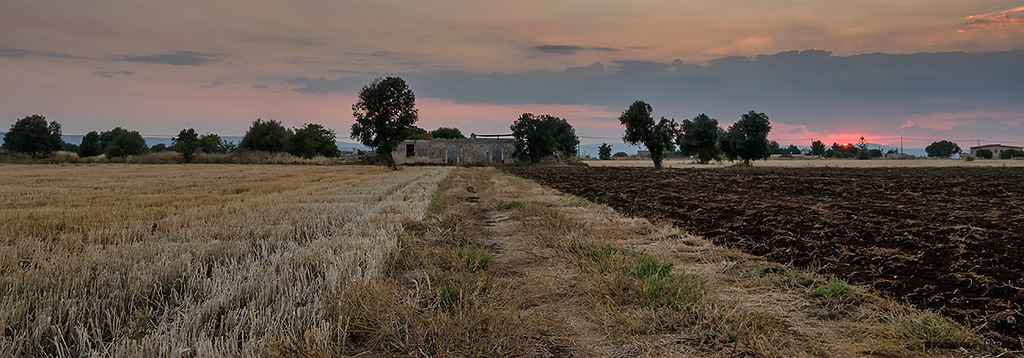 tramonto.jpg