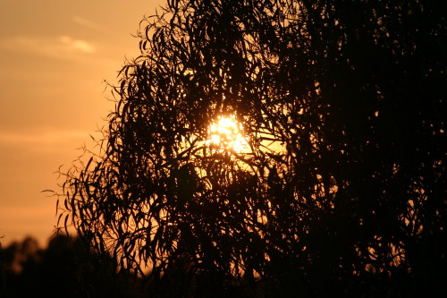 tramonto.JPG