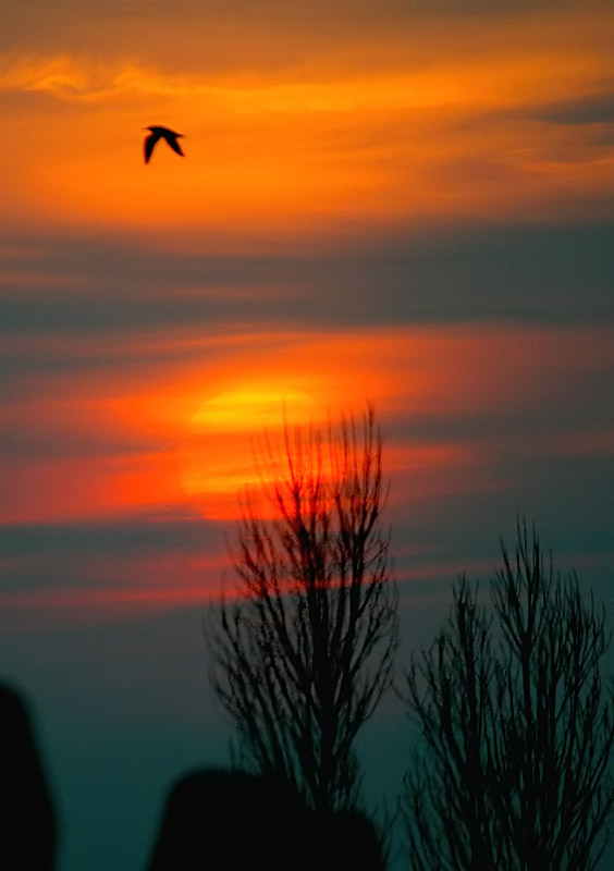 tramonto 1.jpg