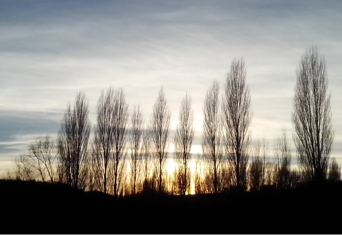 tramonto.jpg
