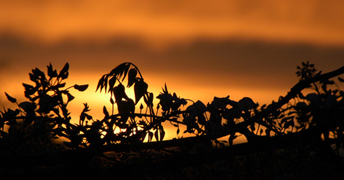 tramonto.jpg