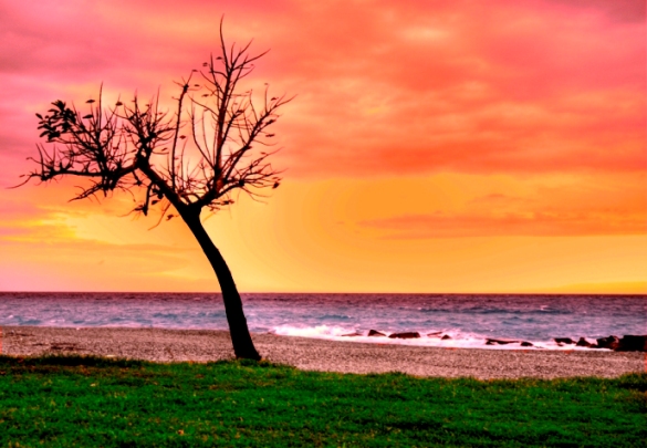tramonto.jpg