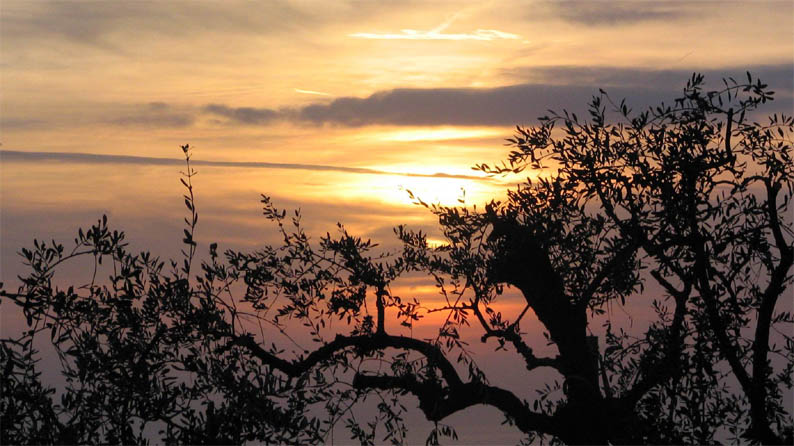 tramonto.jpg