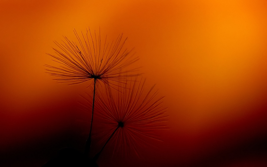 tramonto.jpg