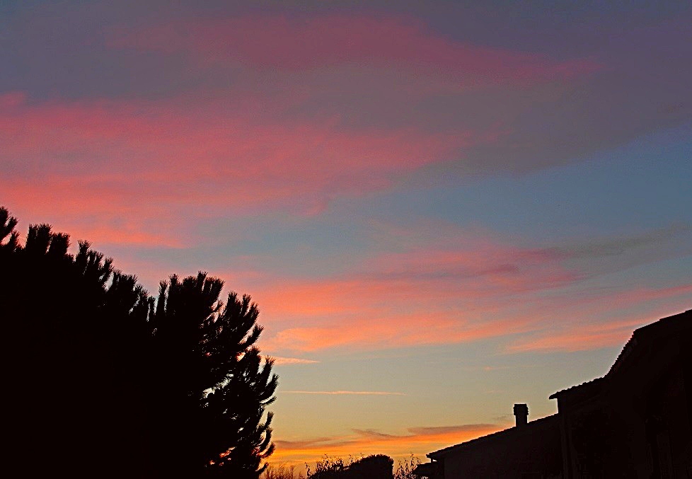 tramontobee2013mod.jpg