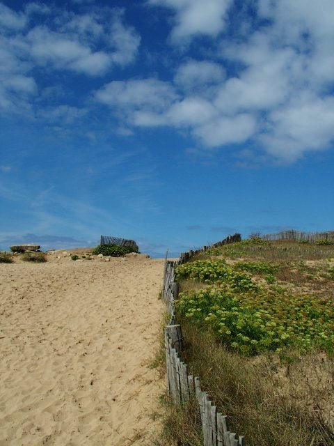 Tre Colori-2.JPG