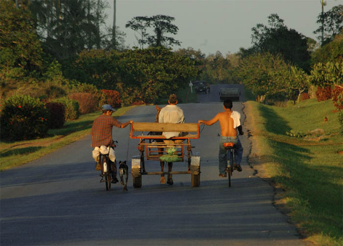 tre uomini, un cane e un cavallo.jpg