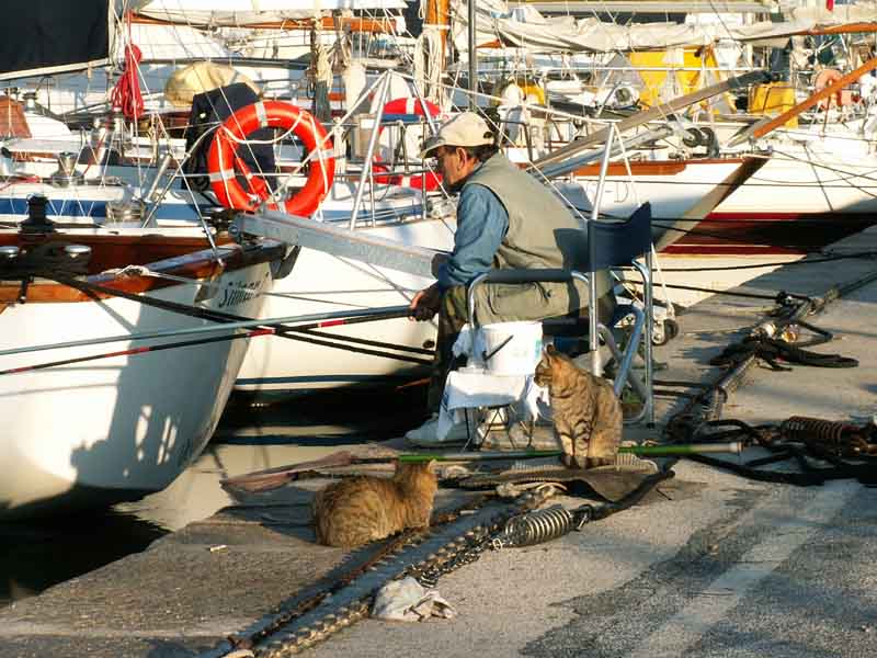 Trepida attesa.jpg