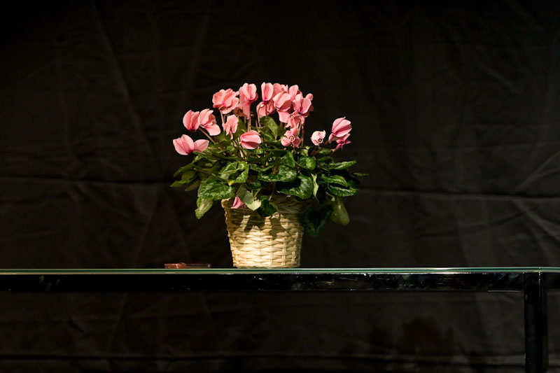 Trilogia-35273.jpg