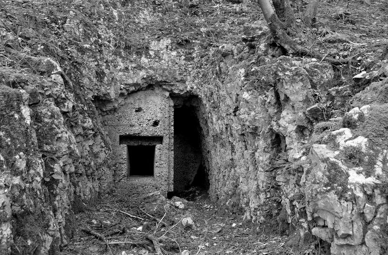 trinceebn (13).jpg
