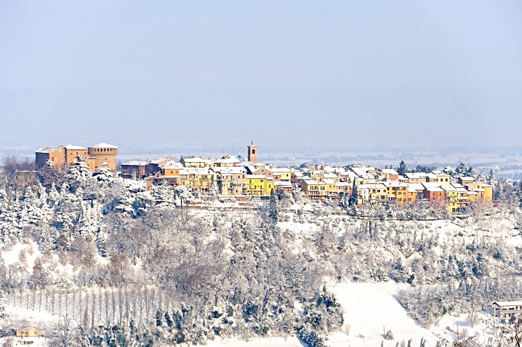 TRM_1335_2.jpg