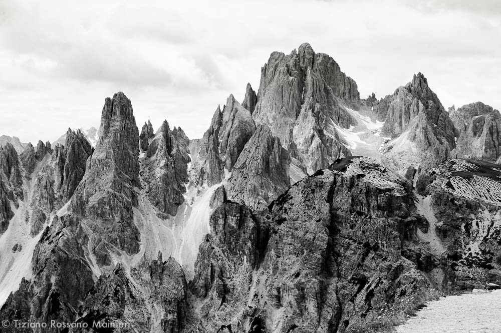 TRM_8706.jpg