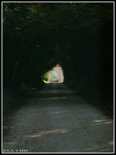 tunnel2.jpg