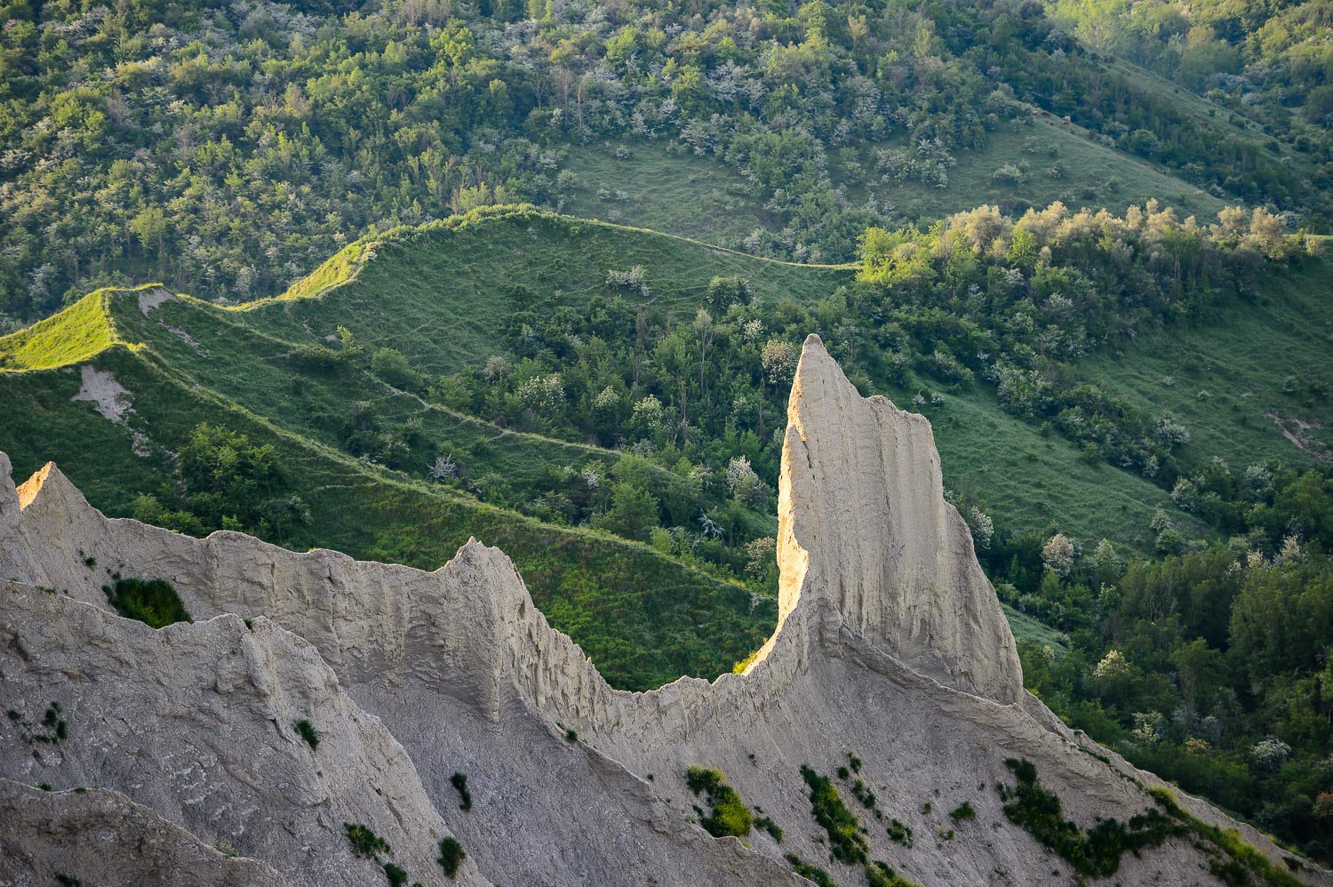 Tuscia_18_0150_LR.jpg