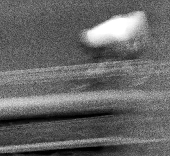 two wheels and one passion.jpg