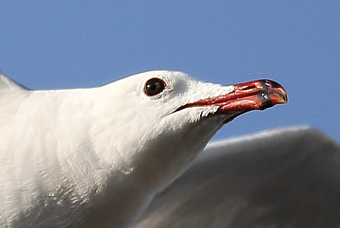 UC5A0361_crop.jpg