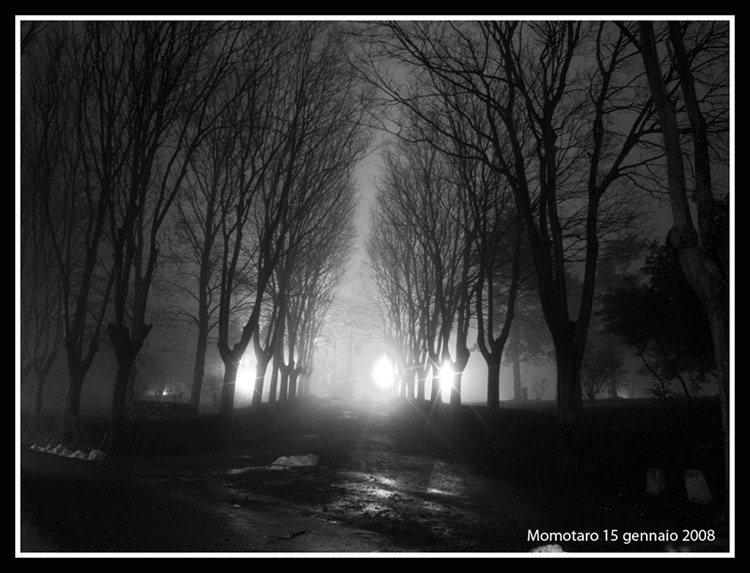 UFO a Tortona.jpg
