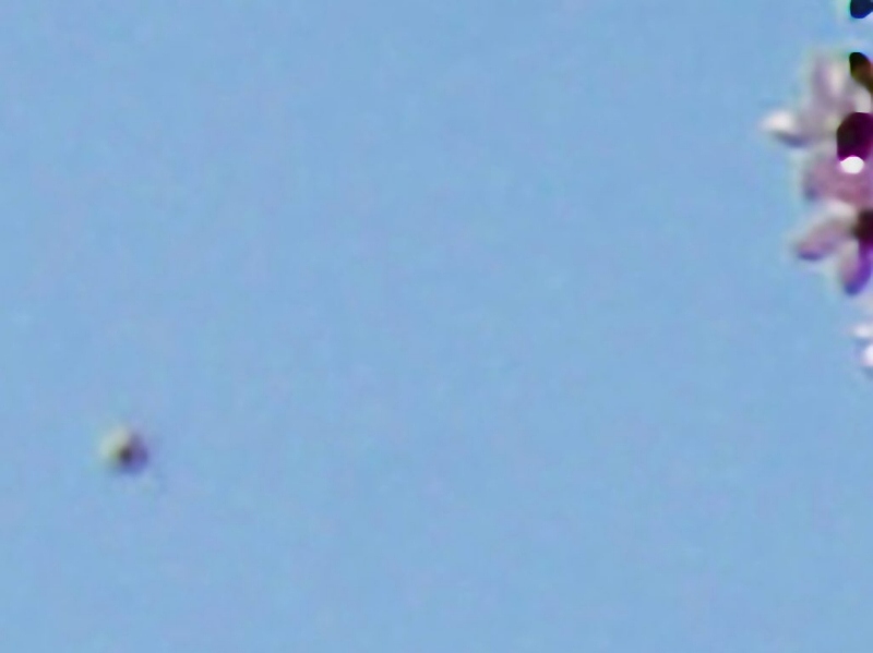Ufo_D.jpg