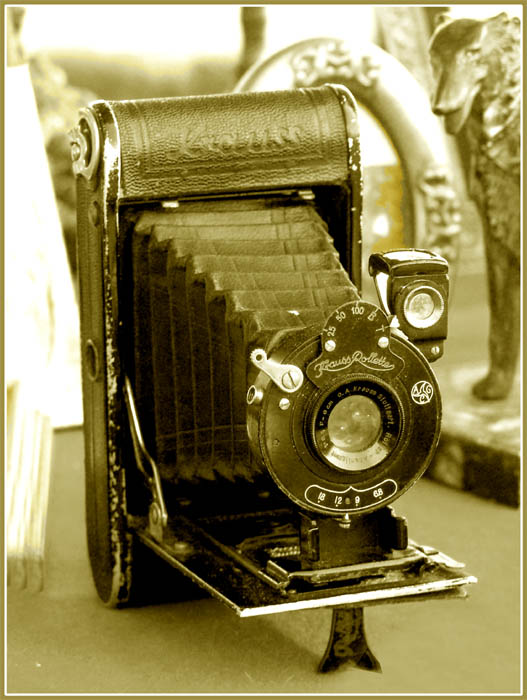 Un' Anziana Fotocamera.jpg