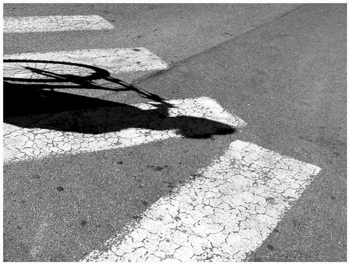 Un Ombra Di Passaggio copia.jpg