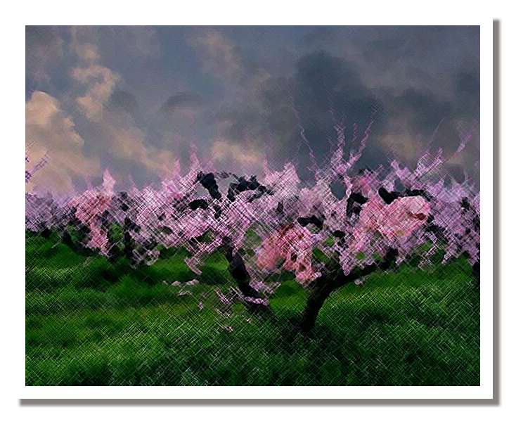un quadro di primavera.jpg