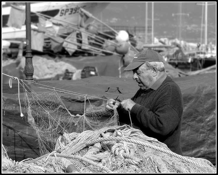Una Mattina Tra I pescatori2.jpg
