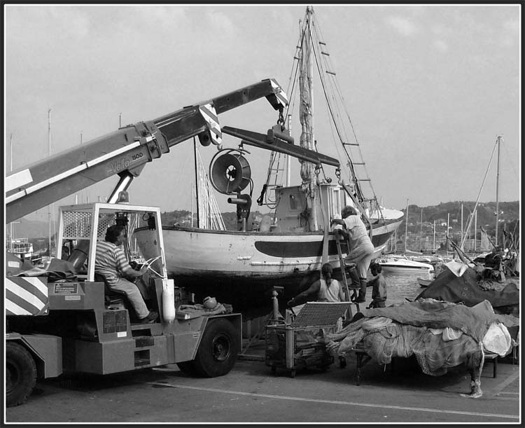Una Mattina Tra I pescatori3.jpg