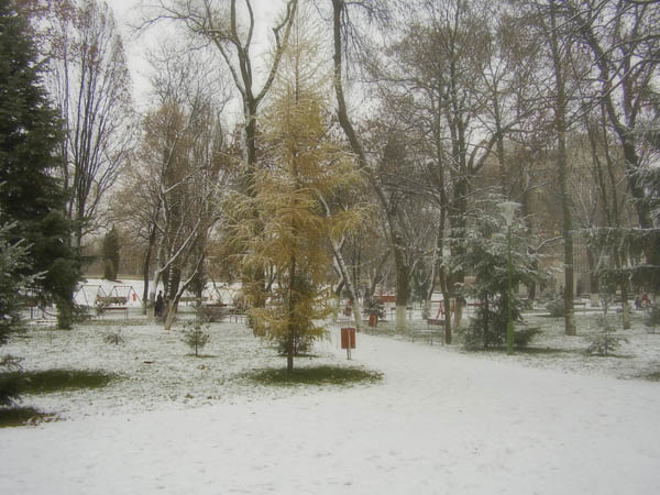Uno fra tanti.jpg