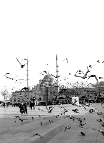 Untitled-1.jpg