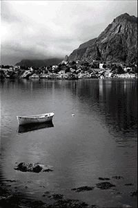 Untitled-1.gif