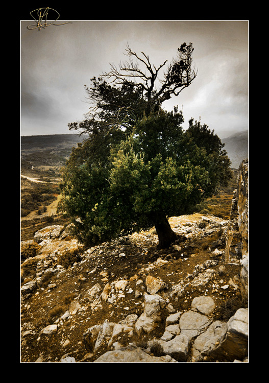 Untitled-1.jpg
