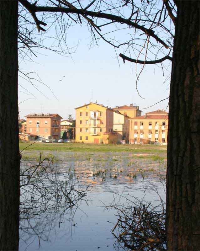 Untitled-1.jpg