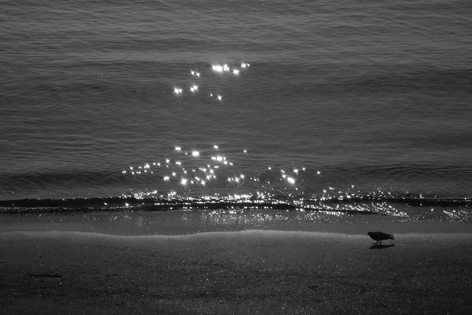 Untitled-1.jpg