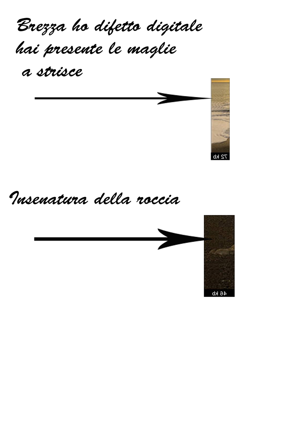 Untitled-1.jpg