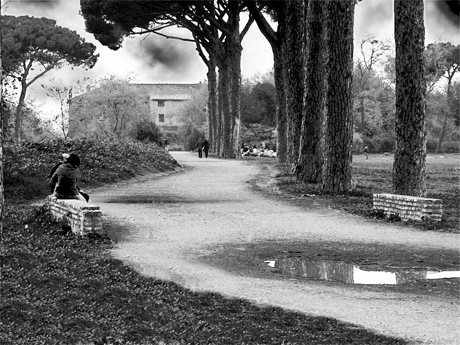 Untitled-1#.jpg